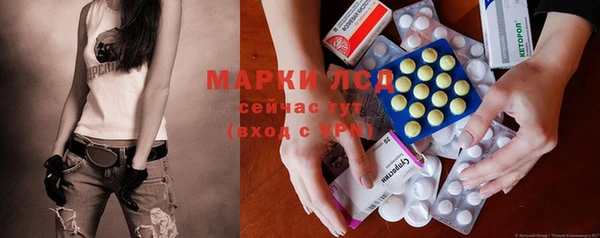 гидра Горнозаводск