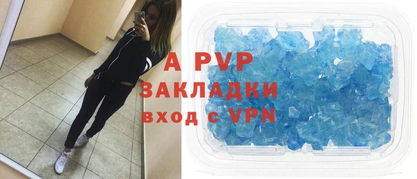 гашик Снежногорск