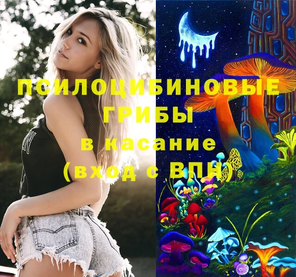 spice Снежинск