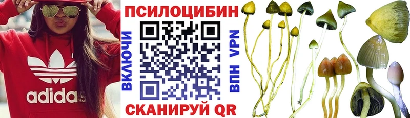 Галлюциногенные грибы GOLDEN TEACHER  закладка  Железногорск-Илимский 